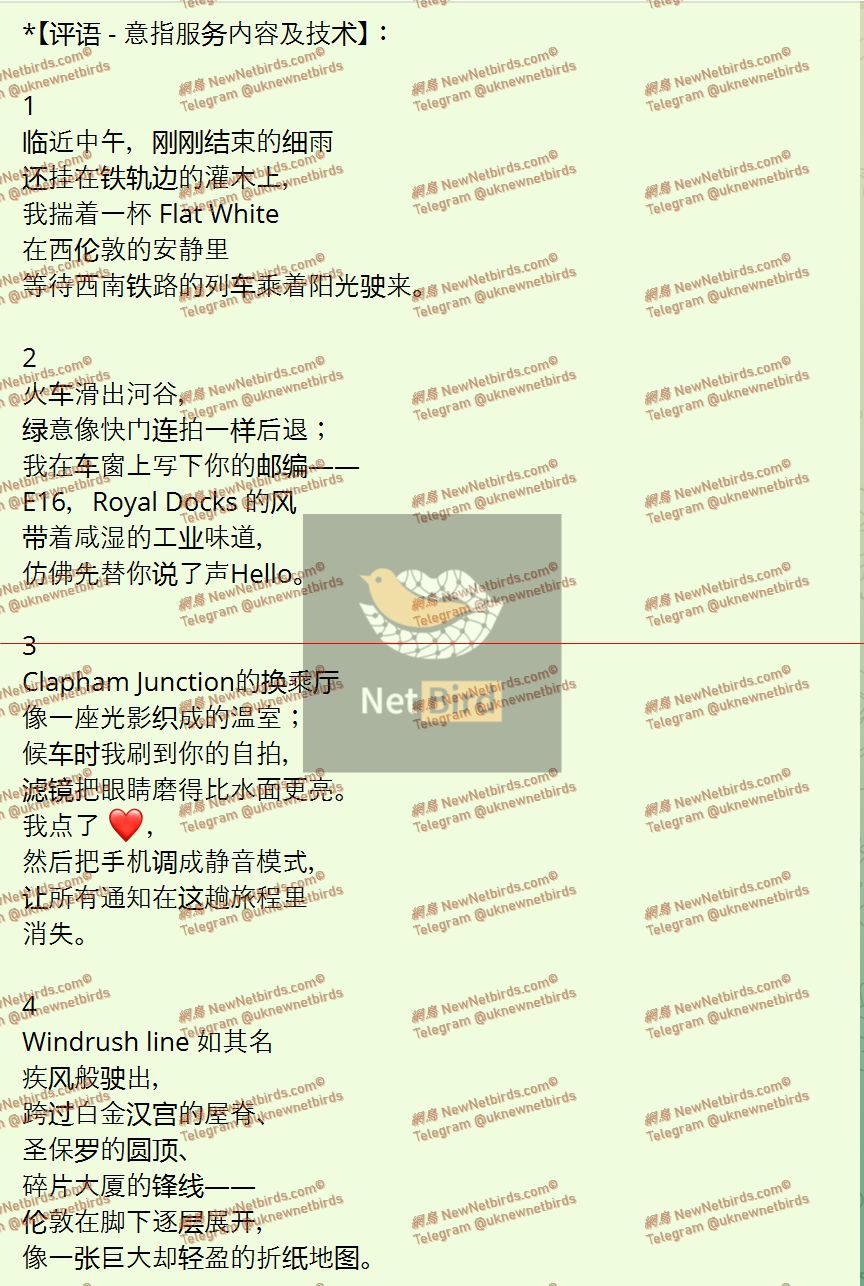 戰號 950 2.jpeg